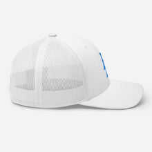 Load image into Gallery viewer, DD Ice Trucker Cap
