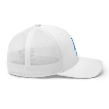 Load image into Gallery viewer, DD Ice Trucker Cap
